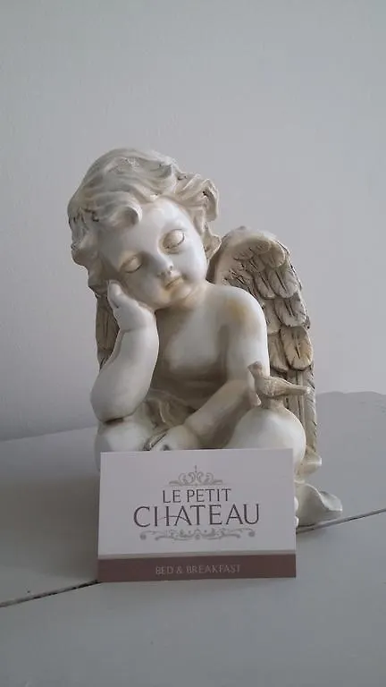 Le Petit Chateau Vaartdijk Bed & Breakfast Leffinge 0*,
